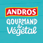 Logo Andros Gourmand & Végétal photographie culinaire